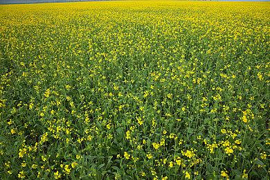 《数码宝贝：绝境求生》官宣：7月28日发售
