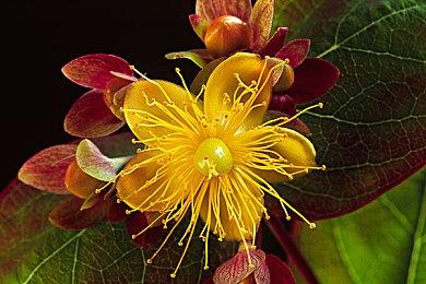 《最后的生还者》Steam在线人数PS移植游戏排名第四