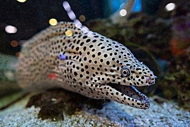 《归唐》使用虚幻5打造 团队中有前育碧开发者